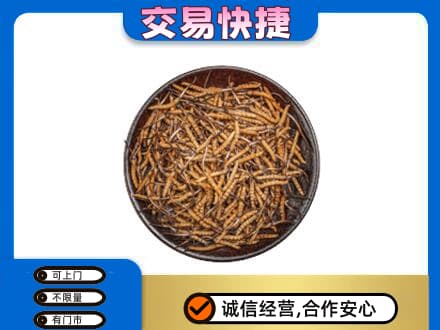 承德市滦平回收散虫草